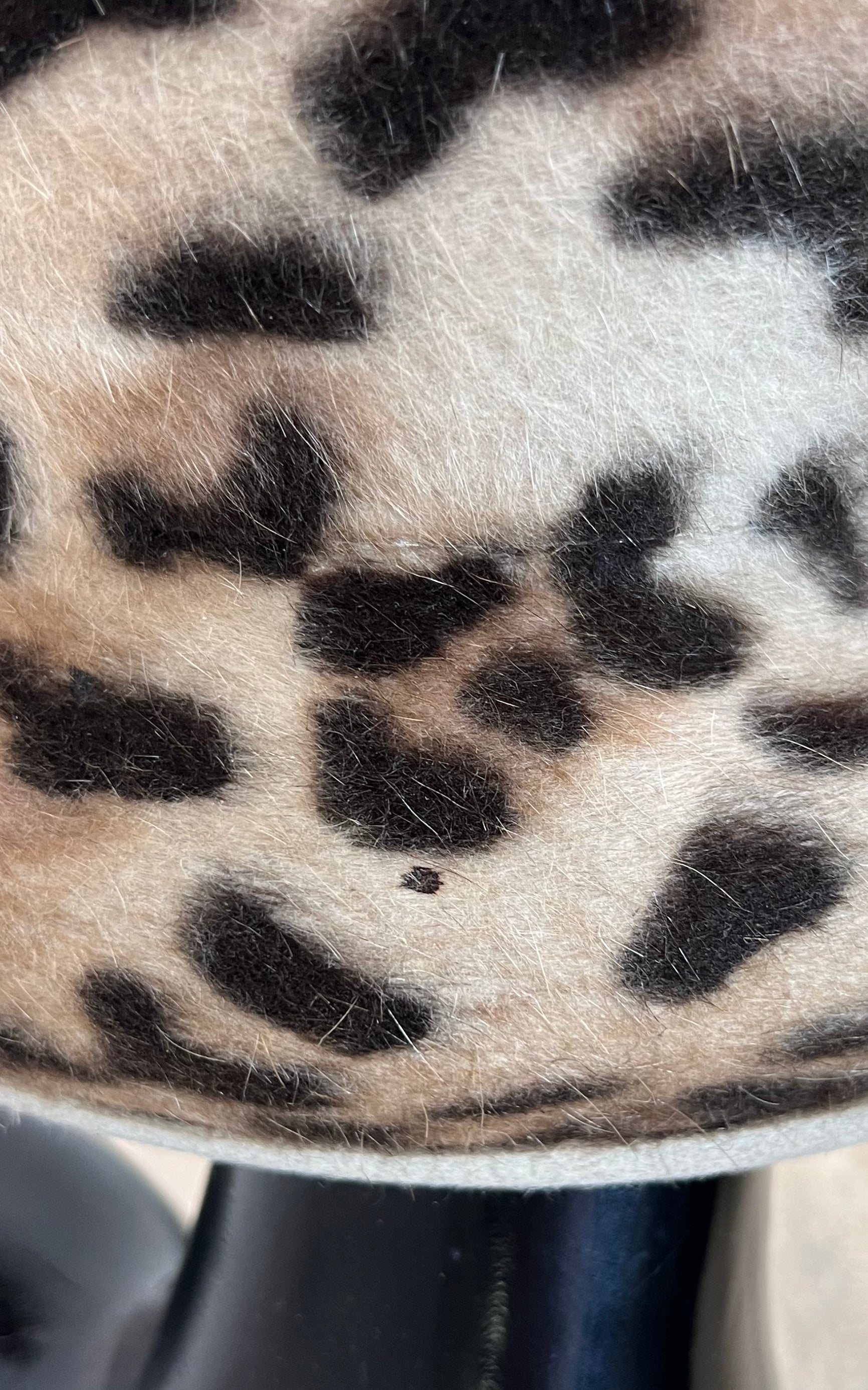 Vintage Leopard Hat