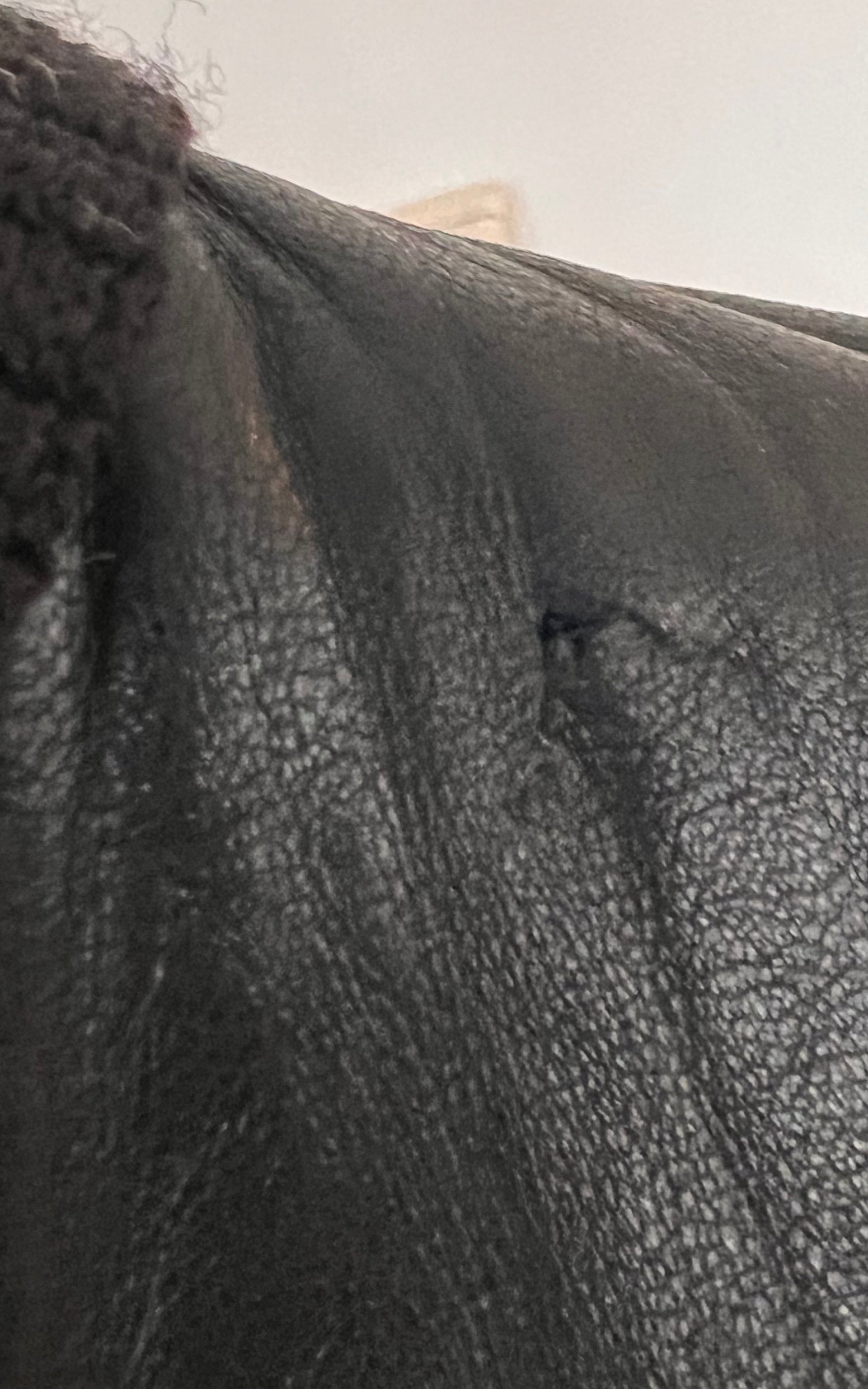 Softest 90s Vintage Ginger Fashion Leatherjacket