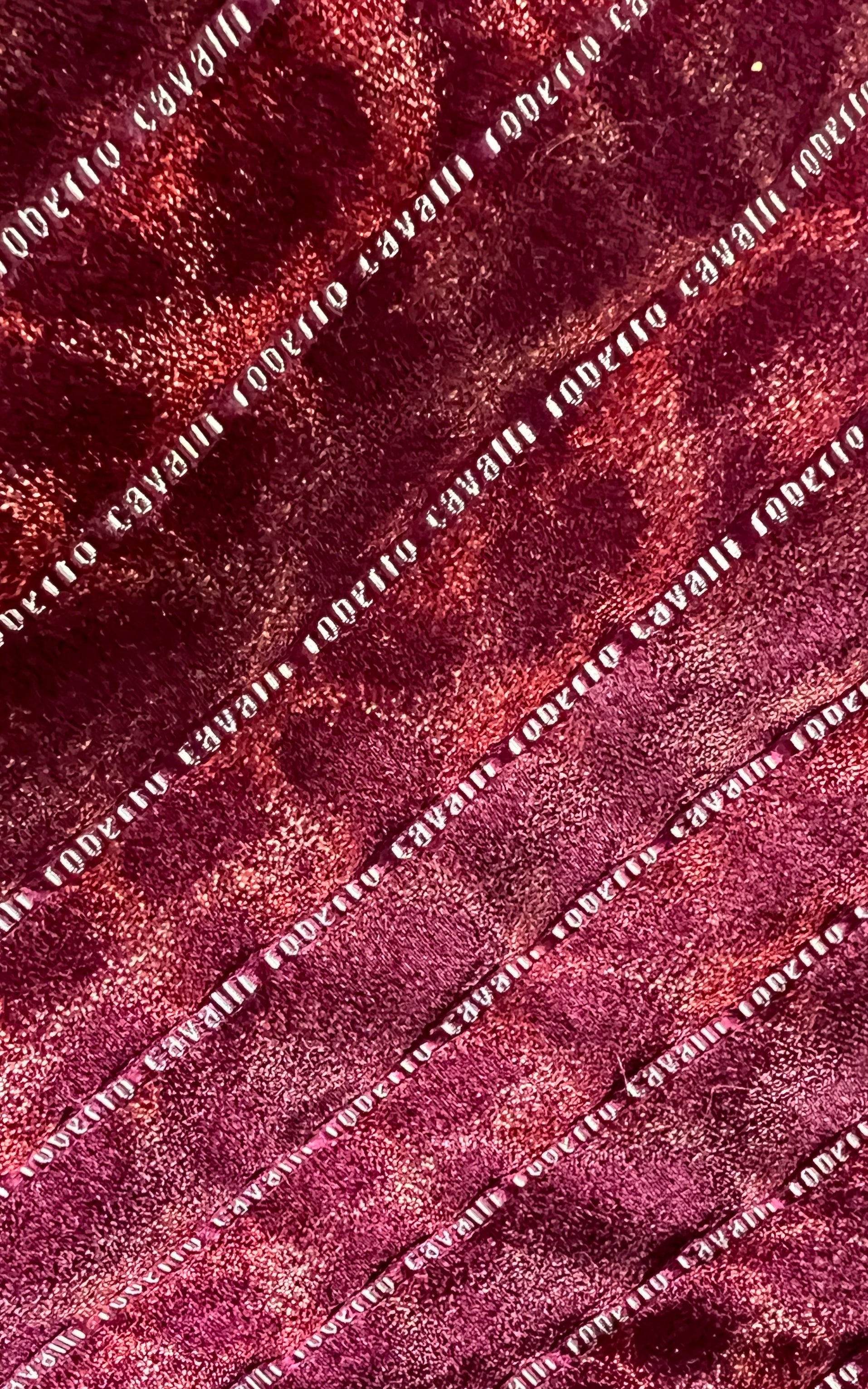 Vintage Roberto Cavalli Tie