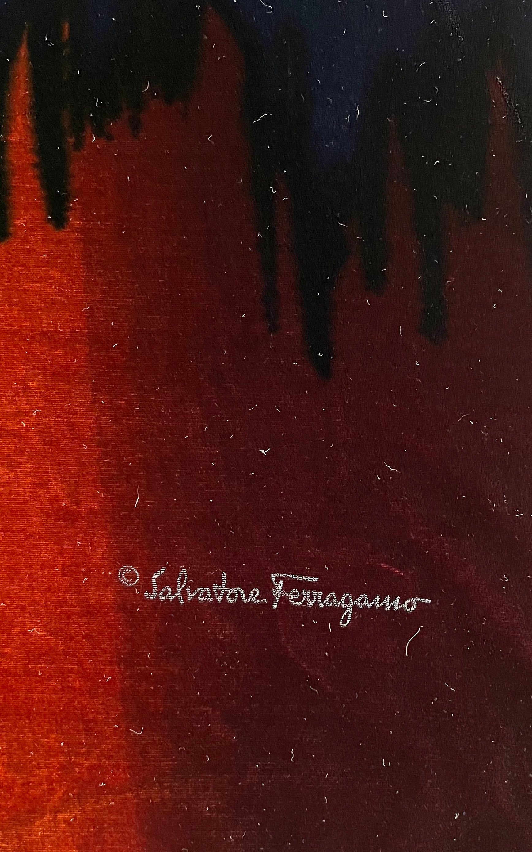 Vintage Salvatore Ferragamo Velvet Scarf