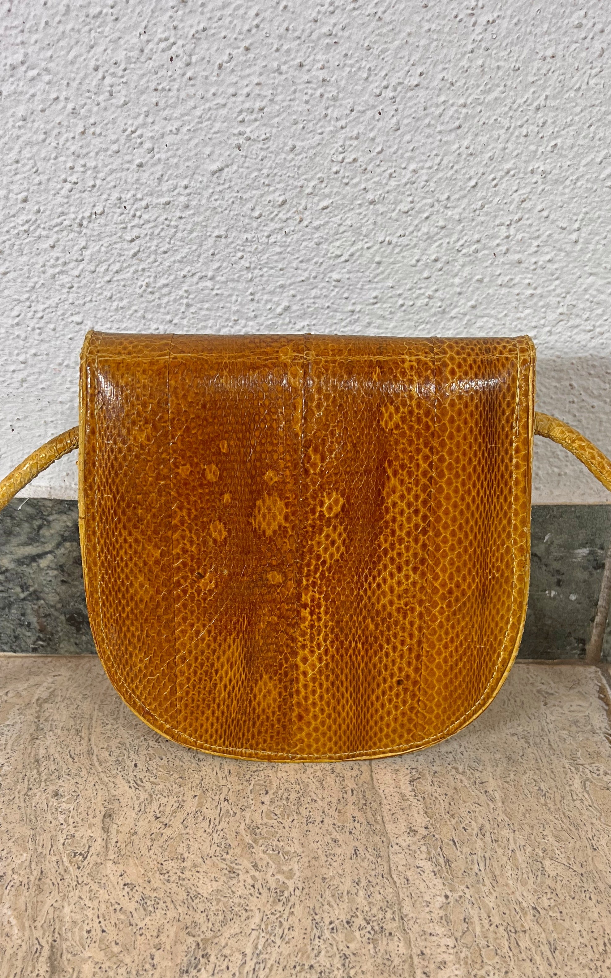 Vintage Snakeskin Bag