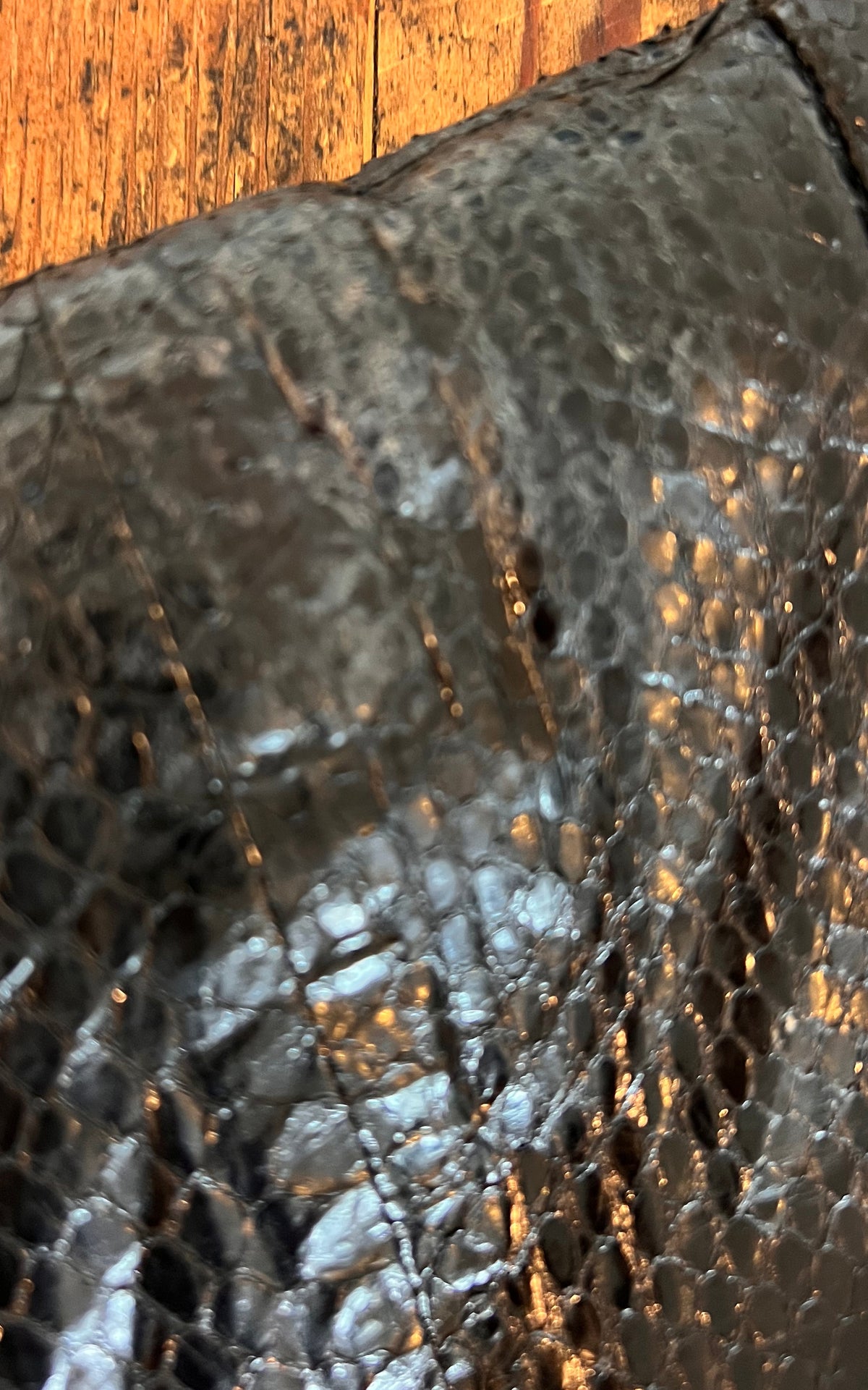 Vintage 80s Kyra Düsseldorf Python Skin Jacket