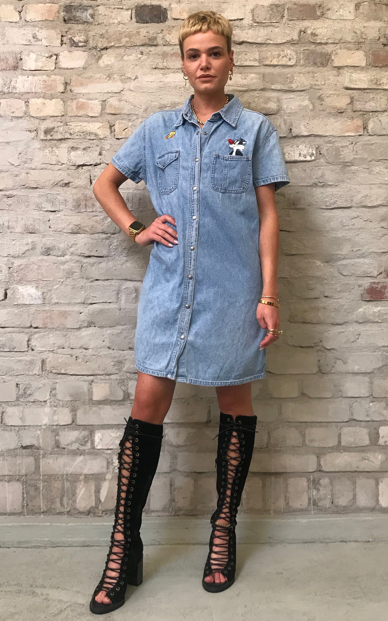 Looney Tunes Denim Dress