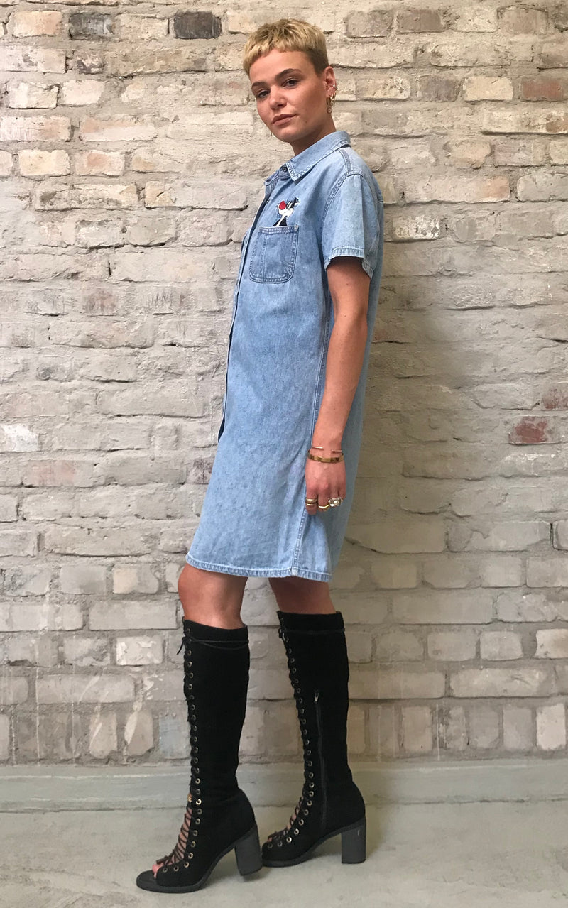 Looney Tunes Denim Dress