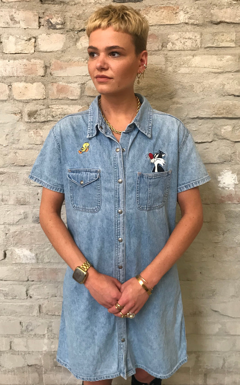 Looney Tunes Denim Dress