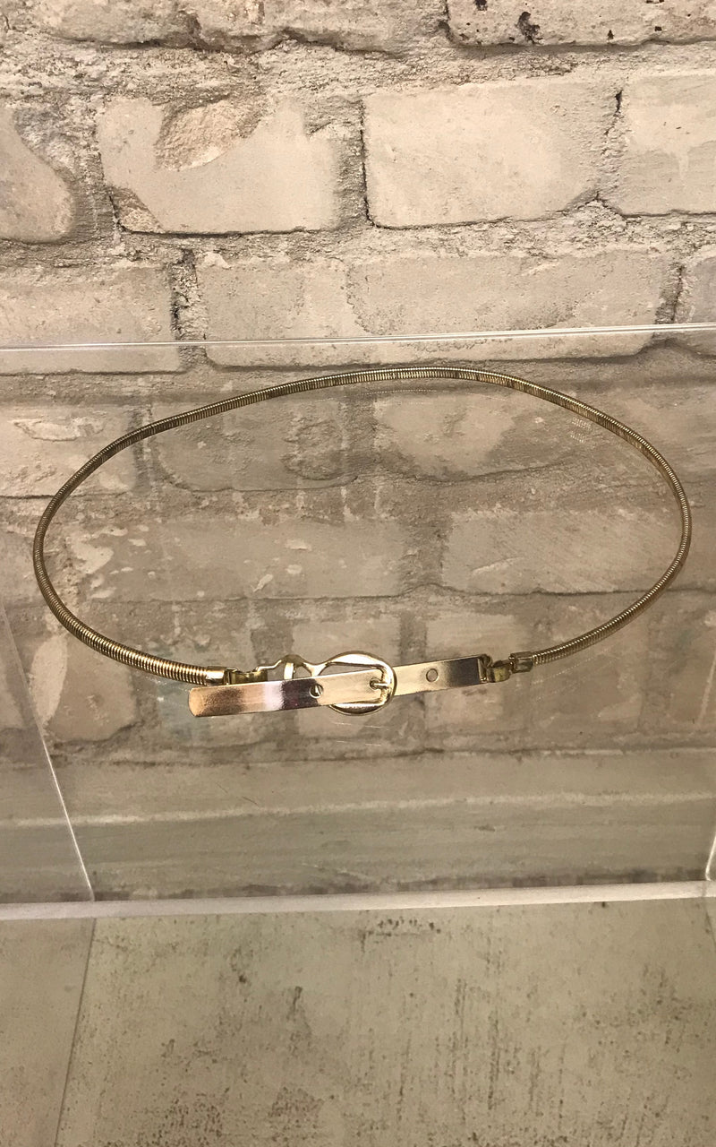 Vintage Metallic Belt
